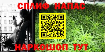 ECSTASY Кохма