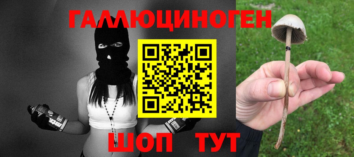 Галлюциногенные грибы GOLDEN TEACHER Медногорск