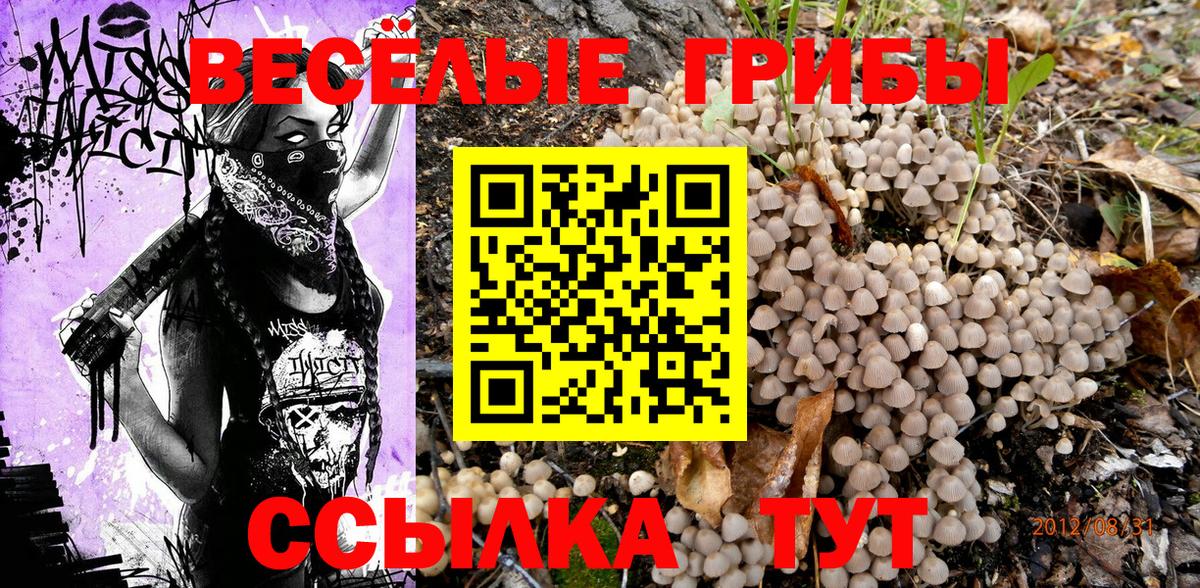 Галлюциногенные грибы мухоморы  Вход с VPN  Медногорск 