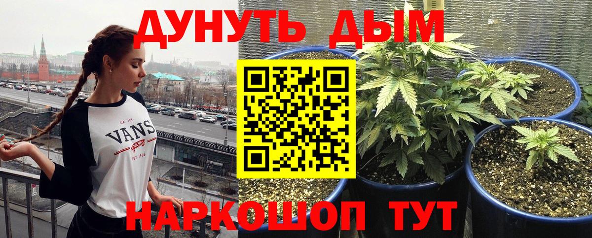 Бошки Шишки MAZAR  Марихуана MAZAR  Вход с VPN  Медногорск  Каннабис Ganja  Конопля MAZAR 